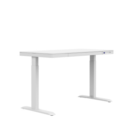 Lifetime Schreibtisch RISE elektrisch verstellbar mit Schublade und USB