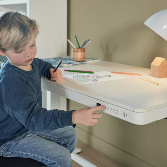 Lifetime desk RISE electrically adjustable with drawer and USB