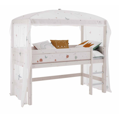 Polvere di fata del cielo